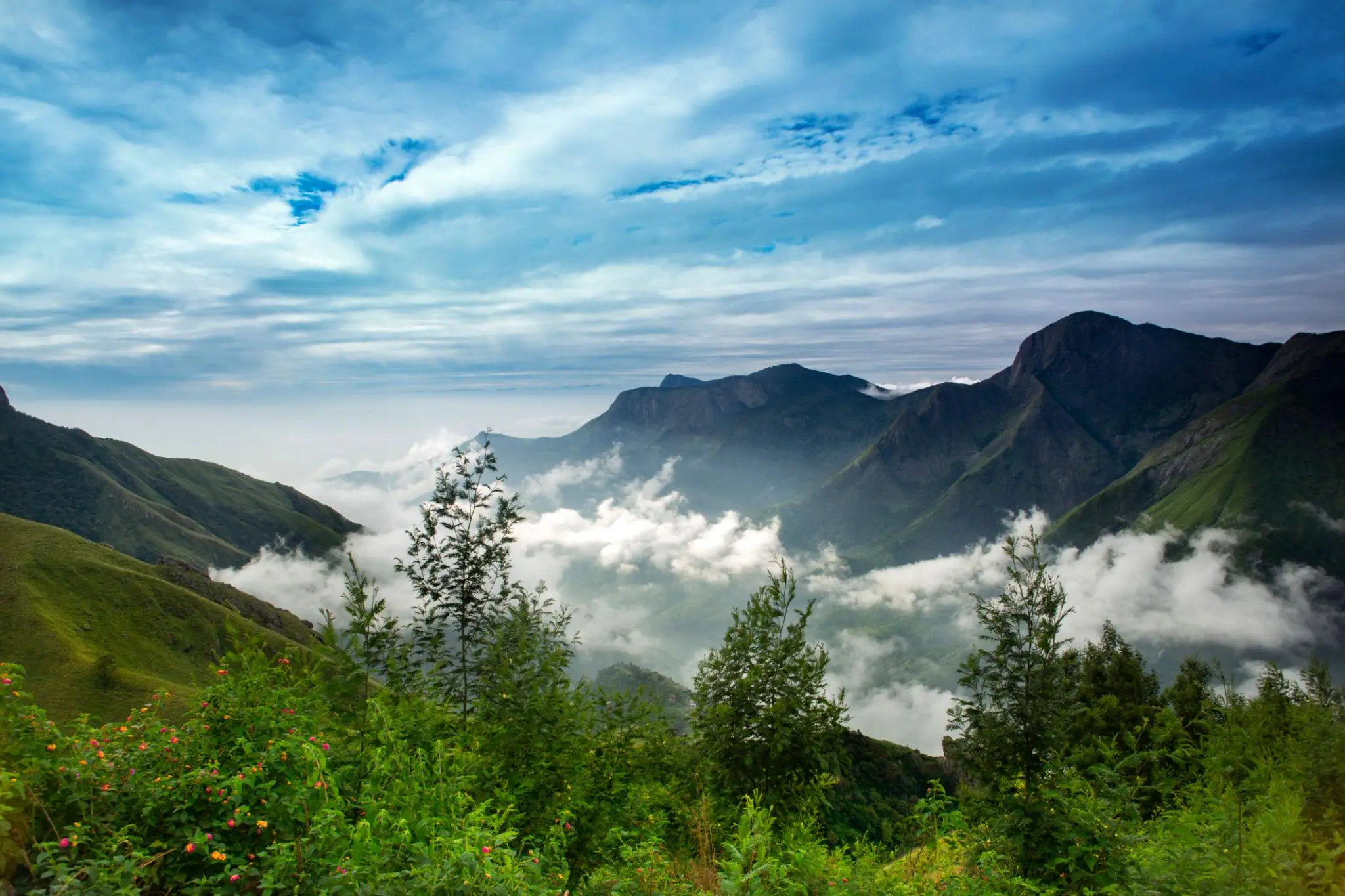 Munnar Full-Day Sightseeing sightseeing route, attractions and activities